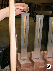 Opus 14 largest & smallest shallot